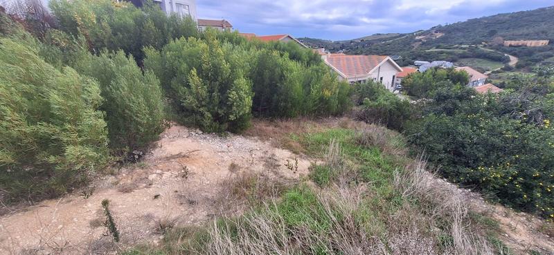 0 Bedroom Property for Sale in Bergsig Western Cape